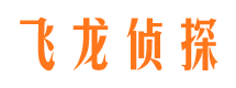 大城资产调查